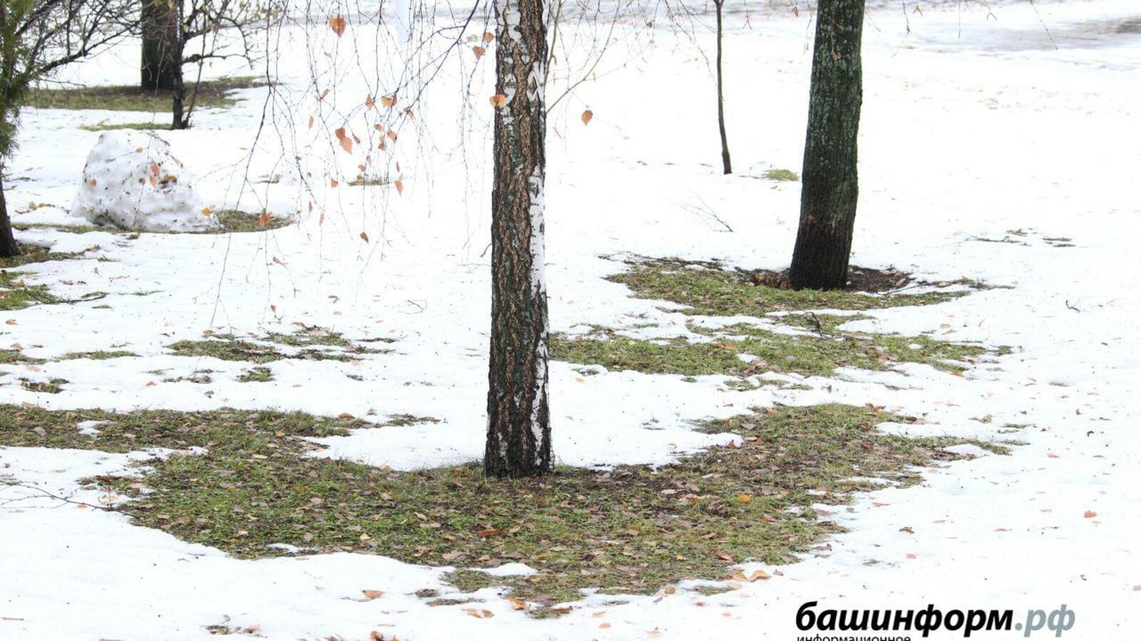 ИА «Башинформ»