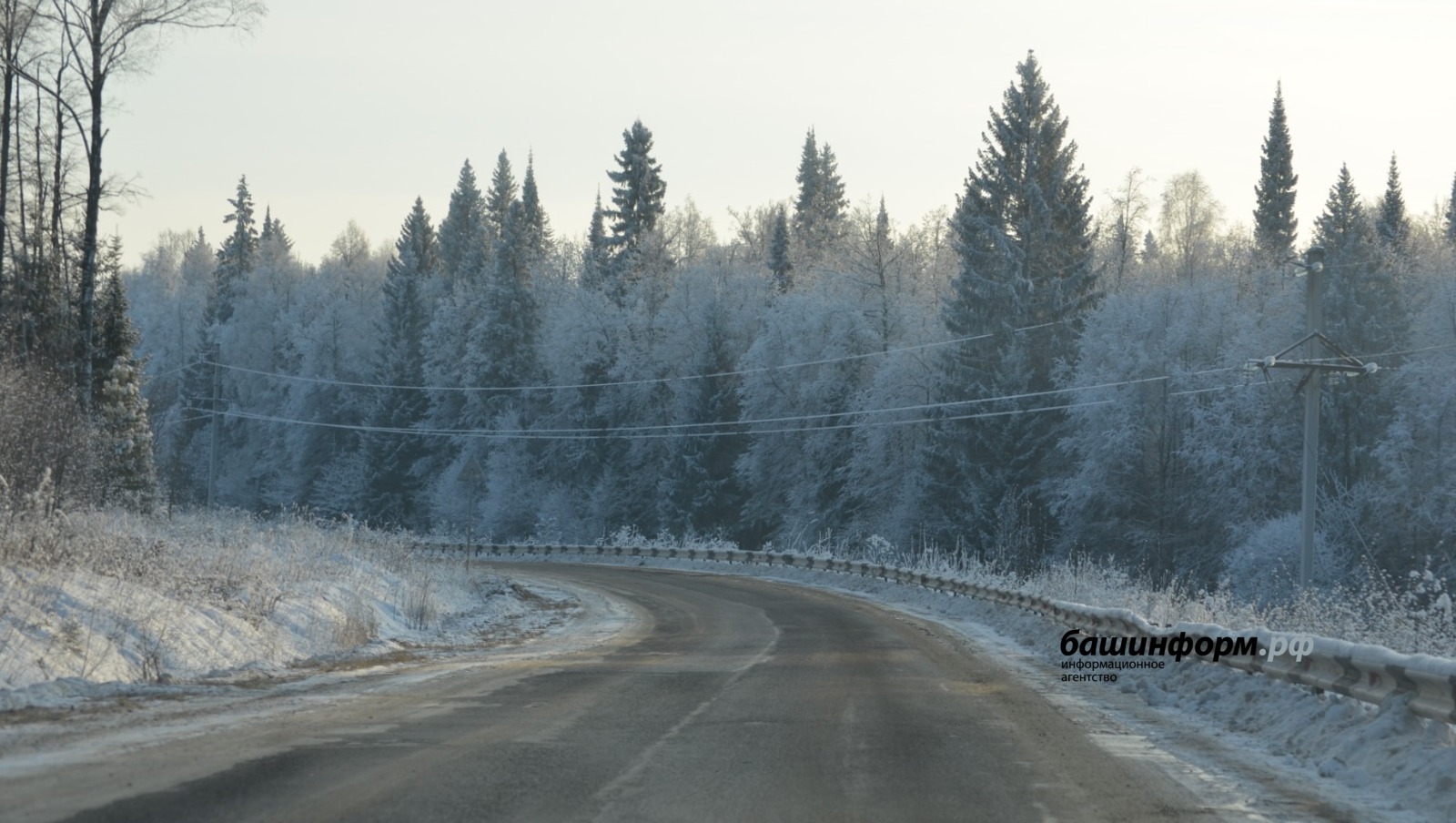 Ксения Калинина ИА Башинформ