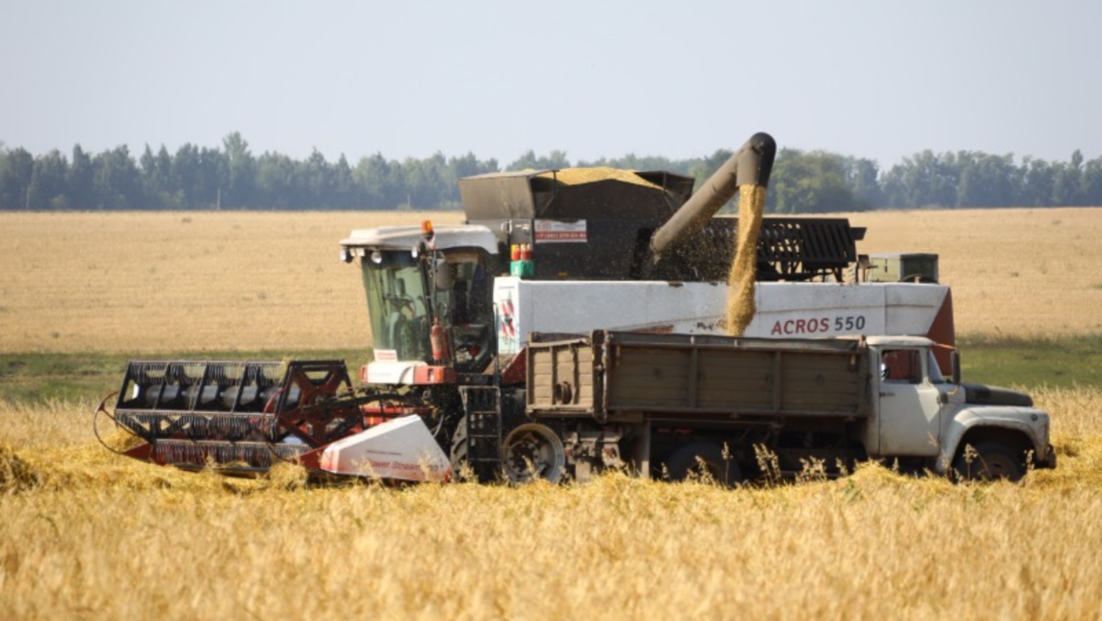 Валерий Шахов
