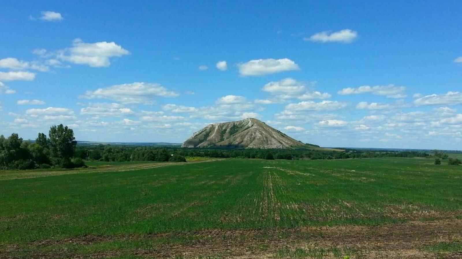 Дарья Святохина