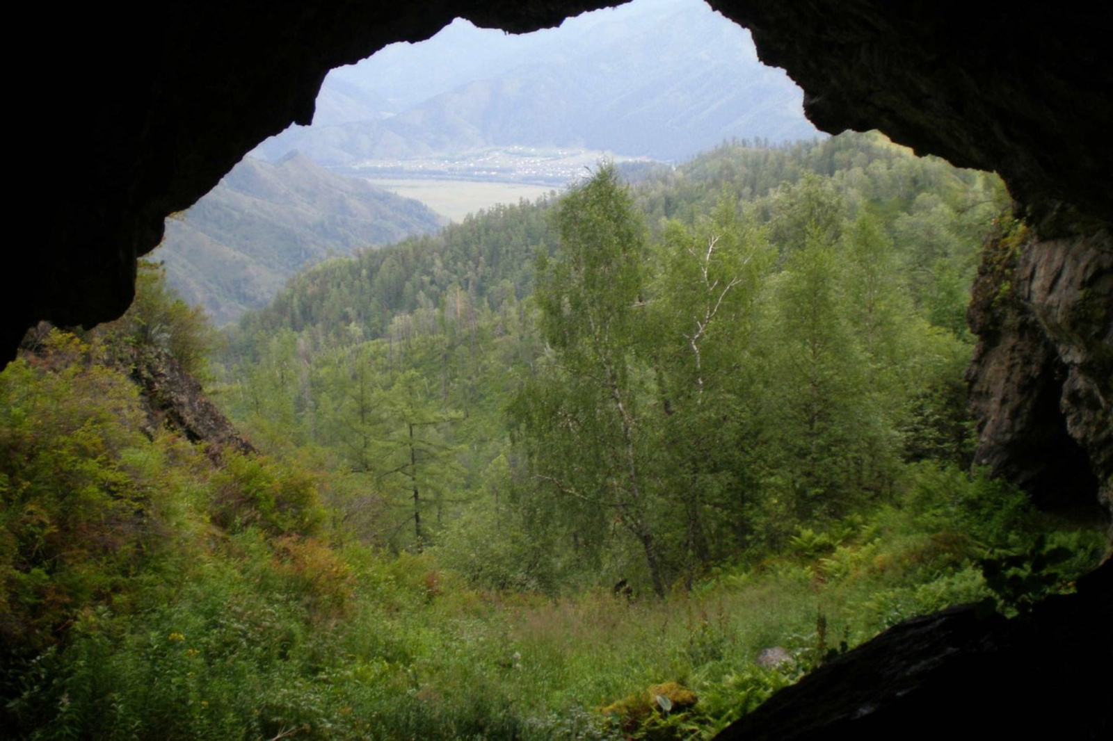 prirodasibiri.ru