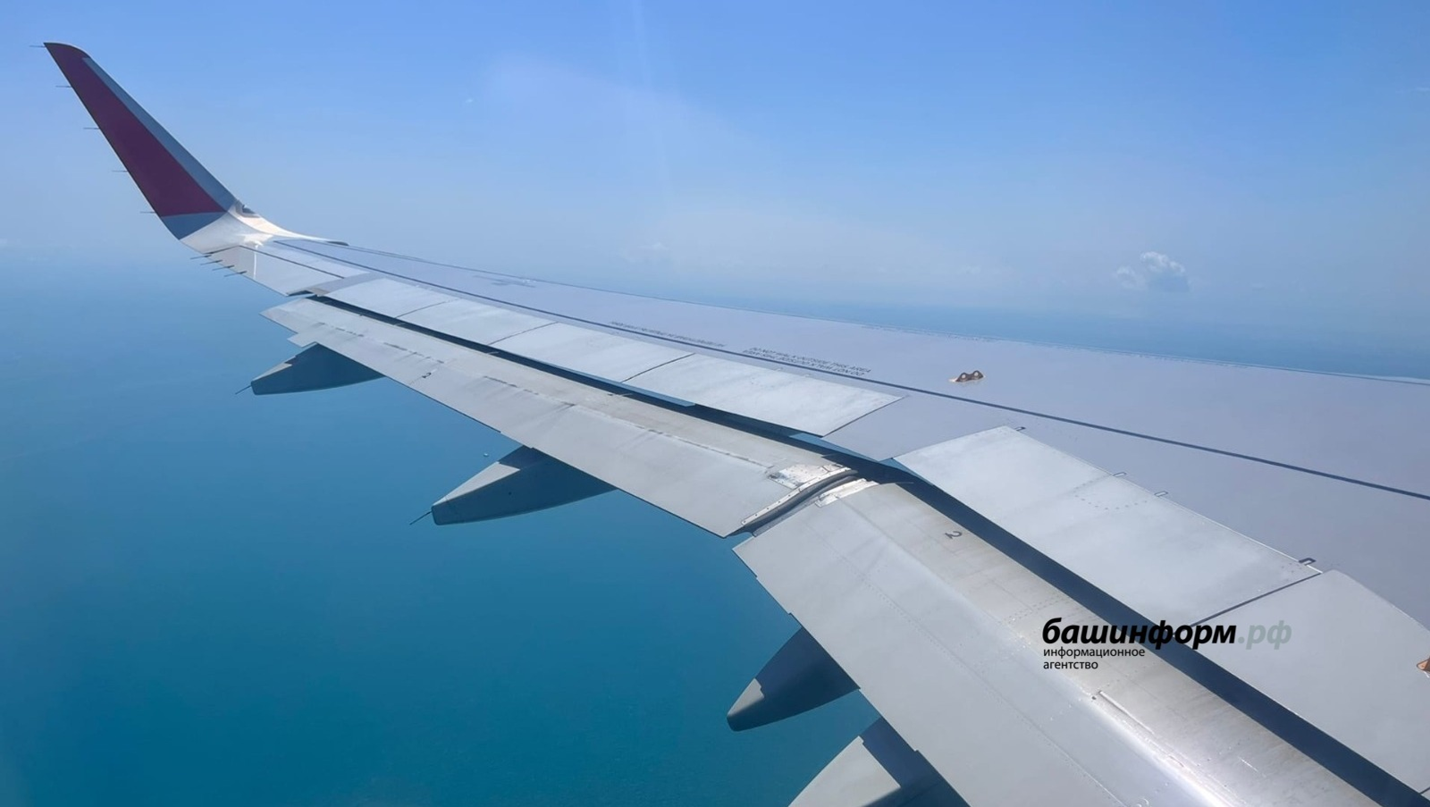 Ксения Калинина