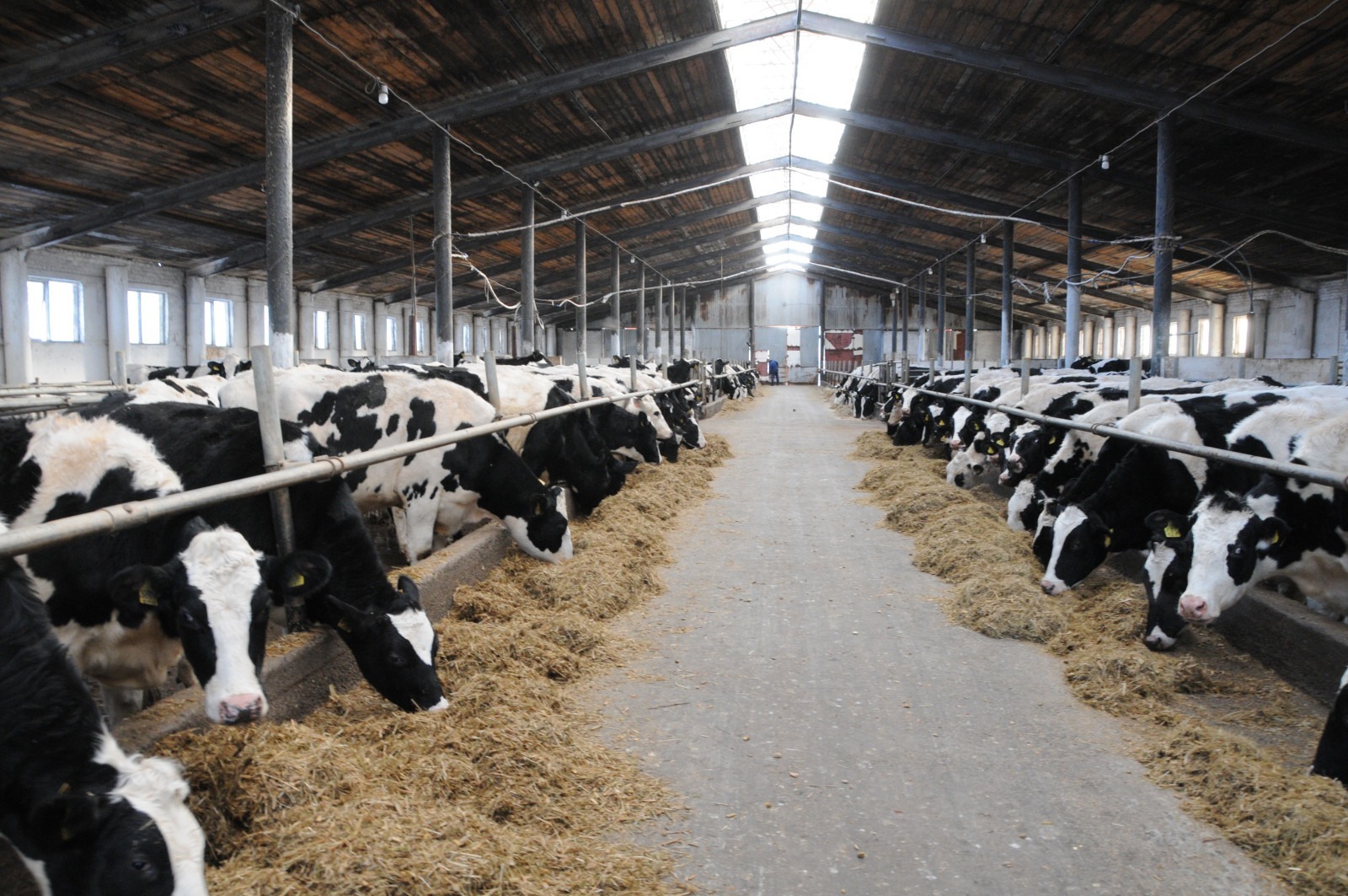 пресс-служба правительство Башкирии