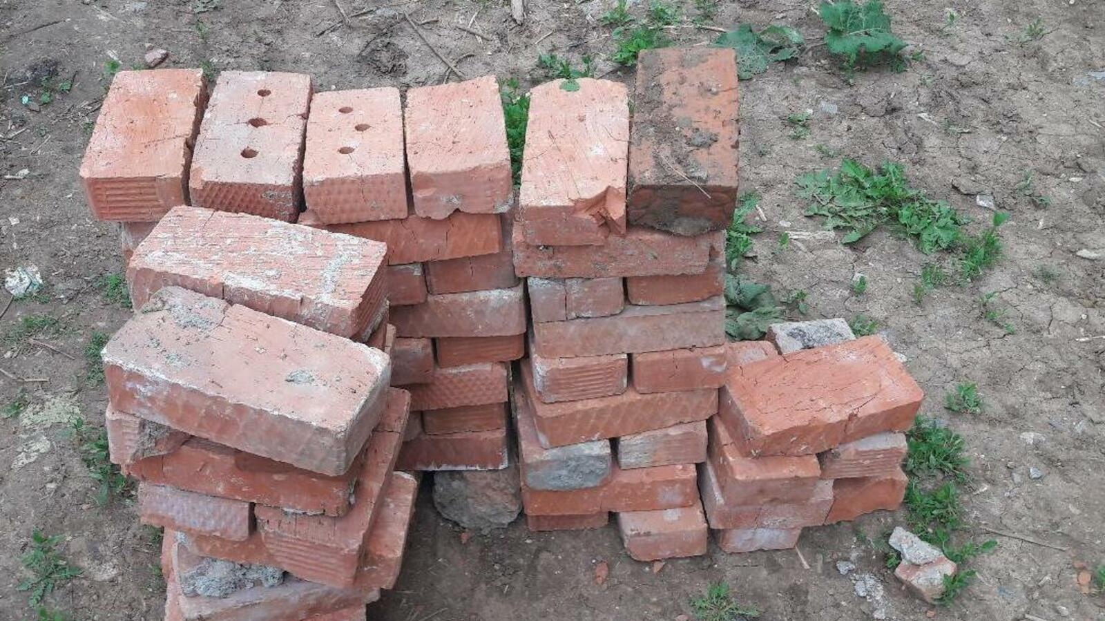 Ксения Калинина