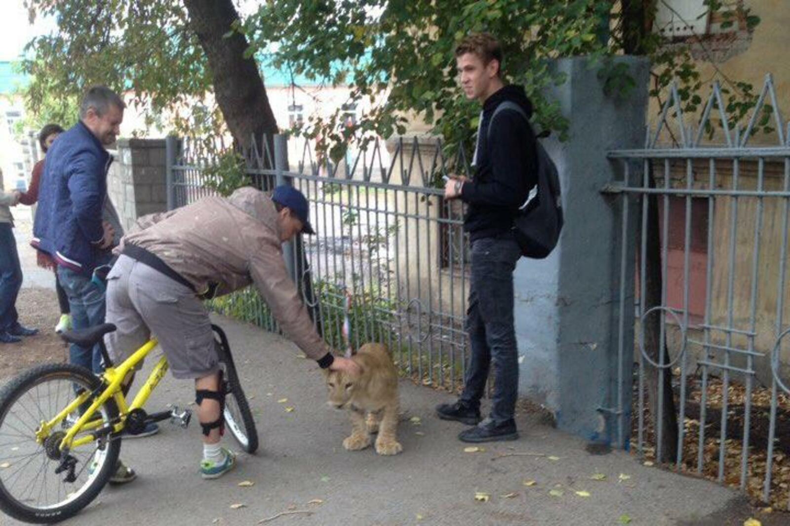 соцсети