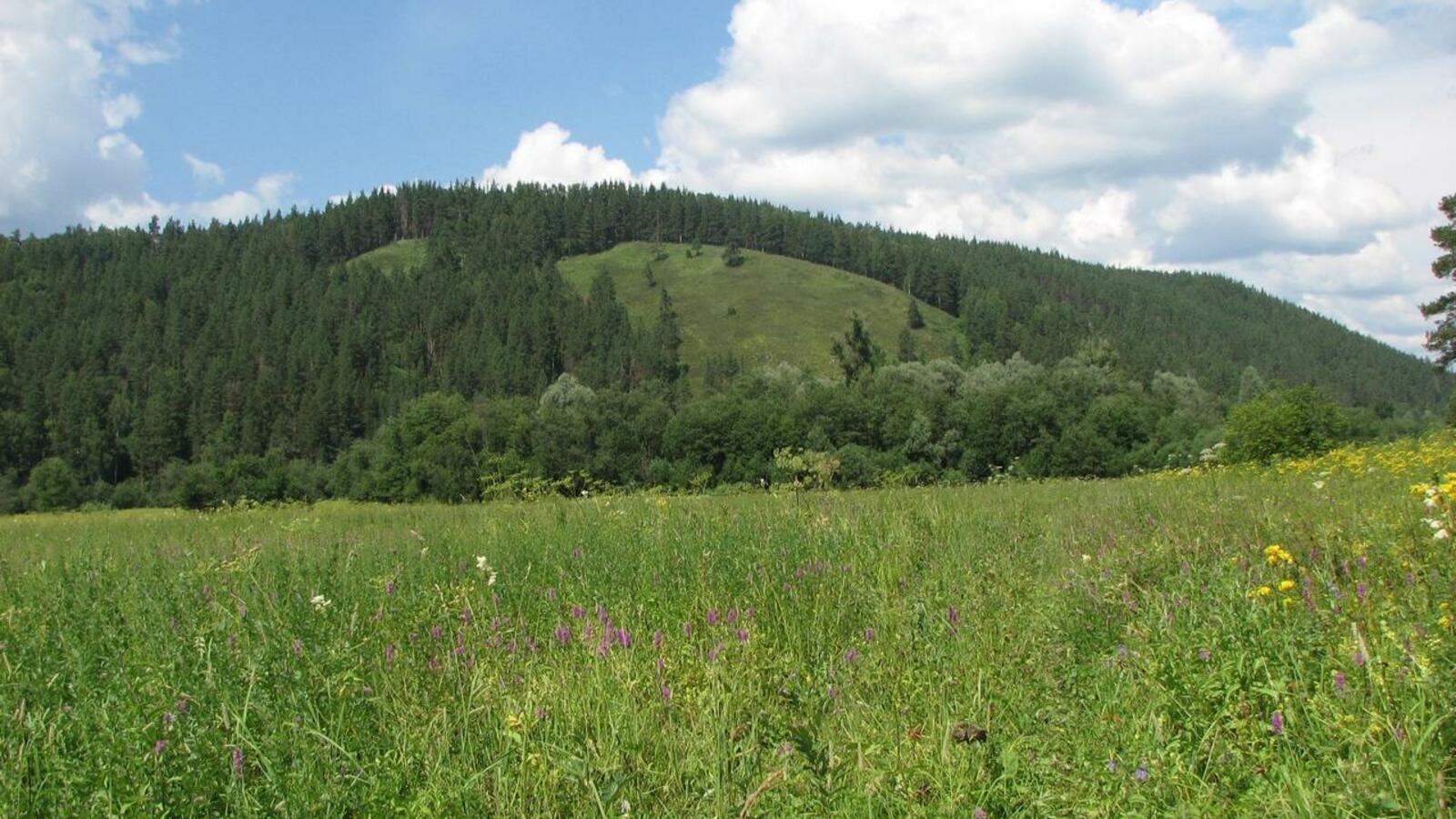 ИА «Башинформ»