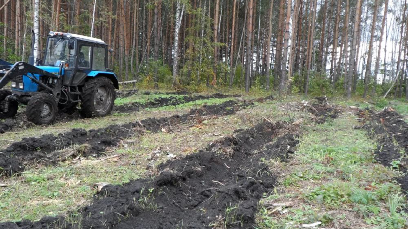 Минсельхоз РБ