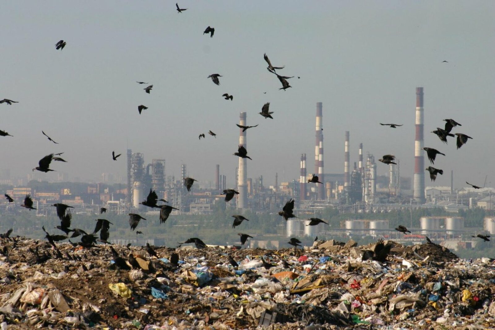 Валерий Шахов