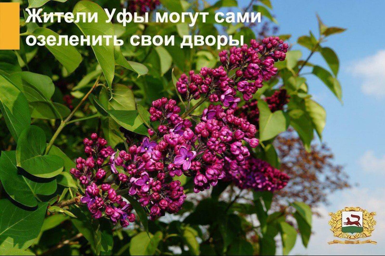 администрация г. Уфа