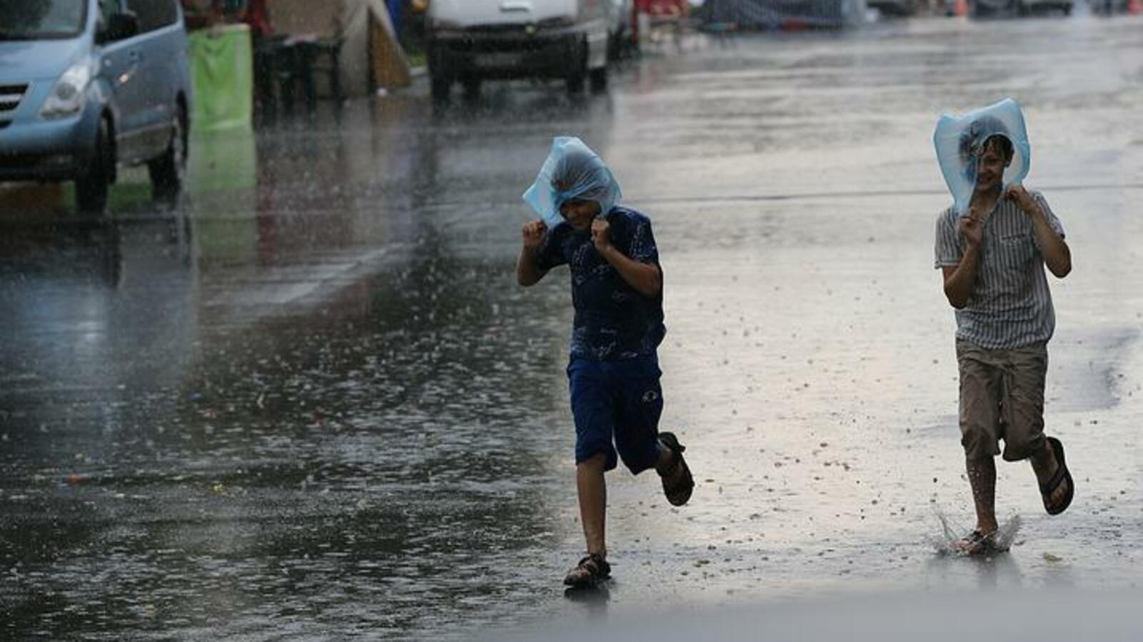 Из открытых источников