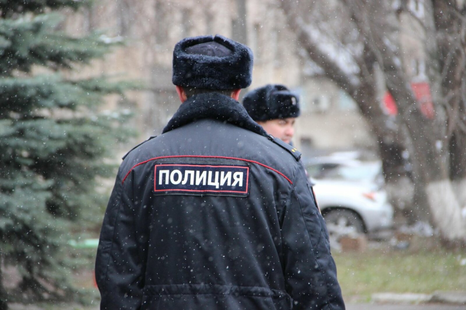 автор