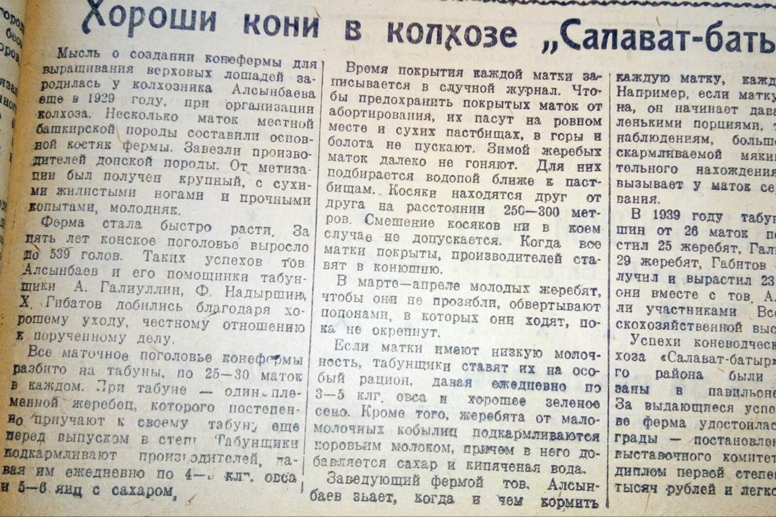 Книжная палата РБ