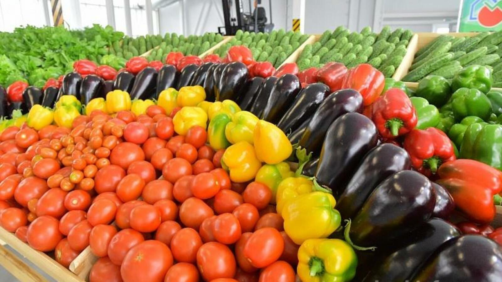 ИА «Башинформ»