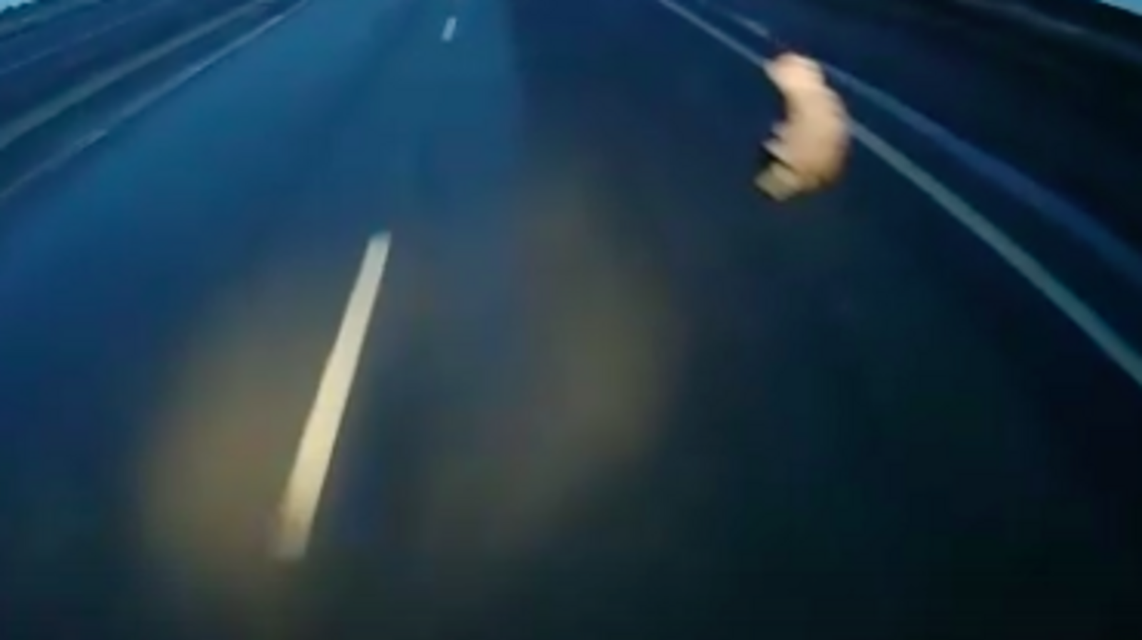 Стоп-кадр видео