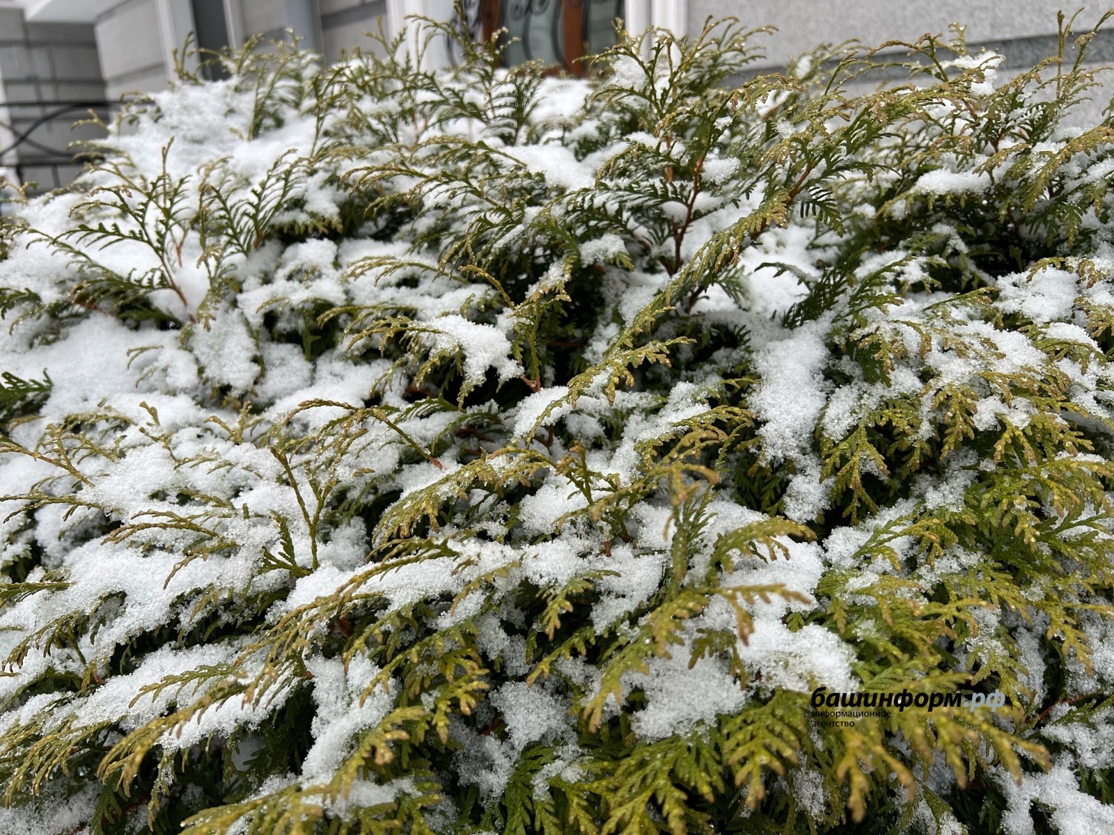 Ксения Калинина