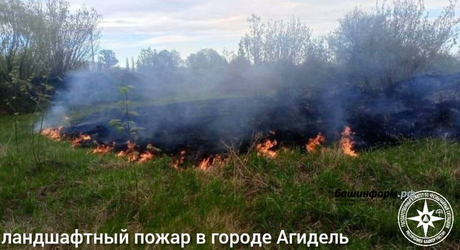 госкомитет РБ по ЧС