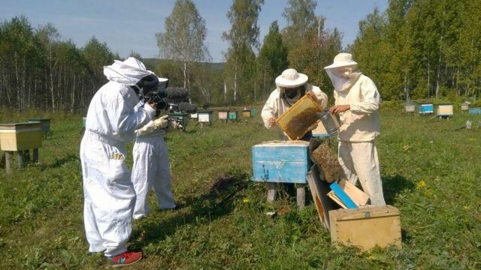 Александра Дальсбек