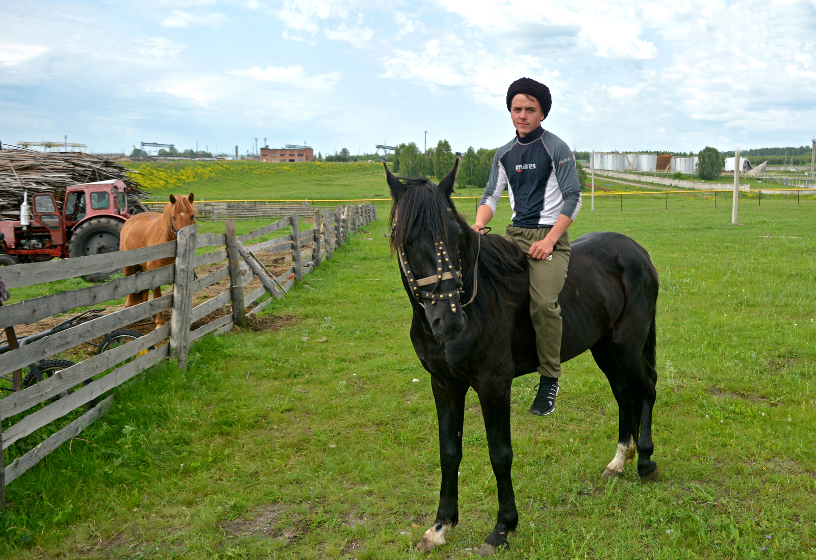 Житель села Железнодорожного Белорецкого района - истинный казак и разводит лошадей