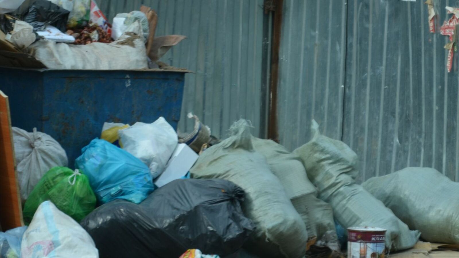 Ксения Калинина