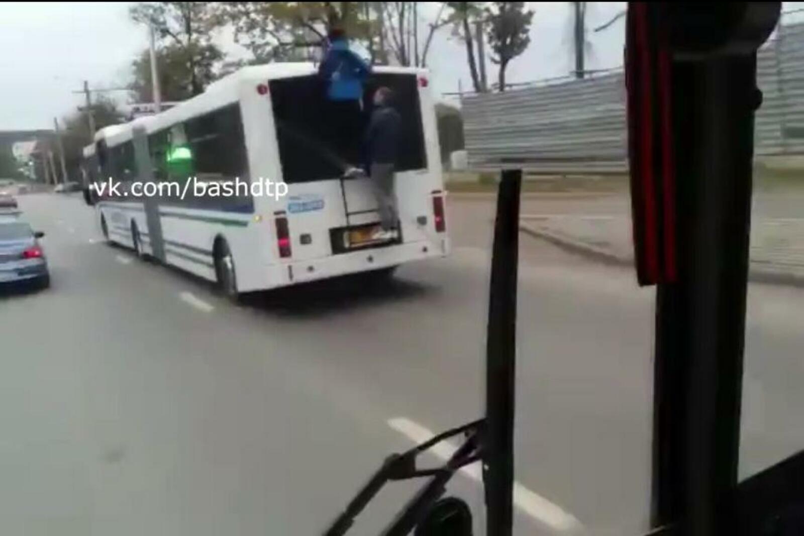 скриншот видео