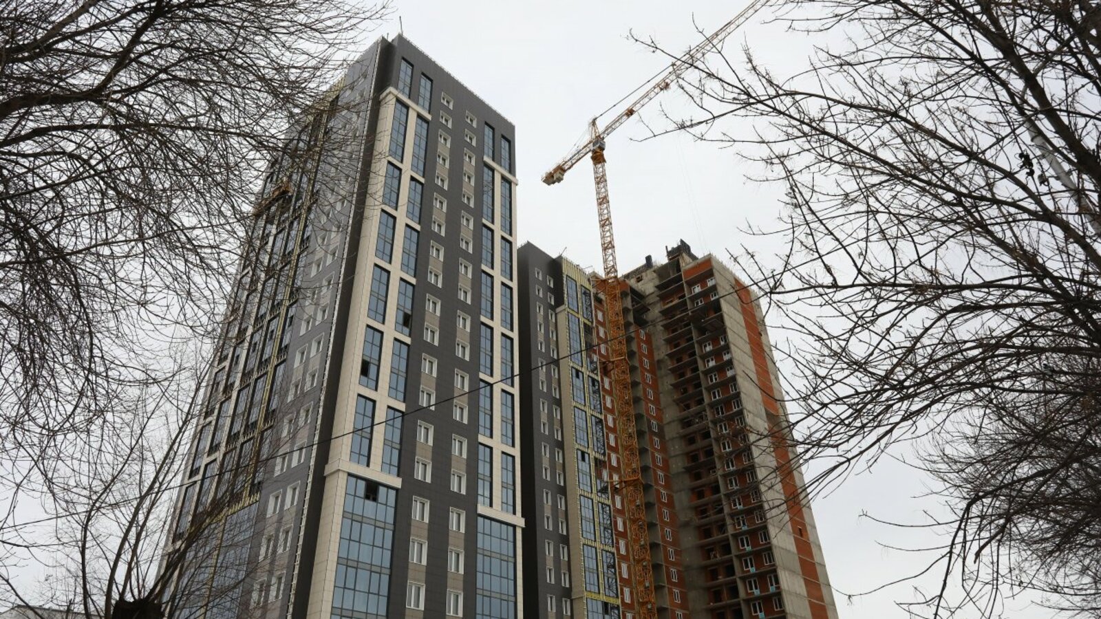 Валерий Шахов