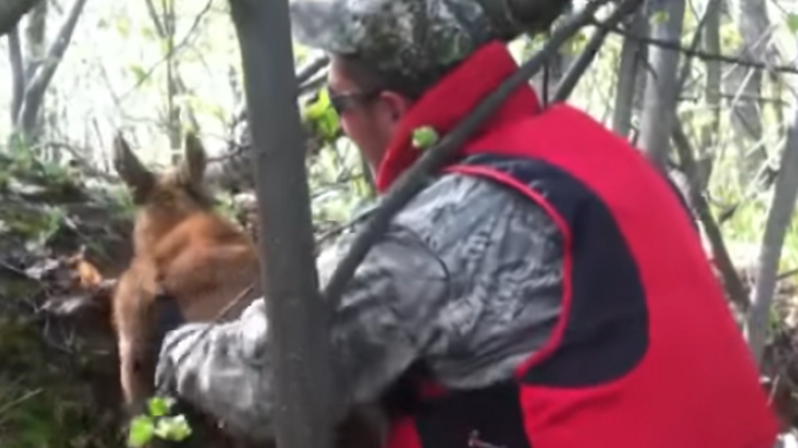 скриншот видео