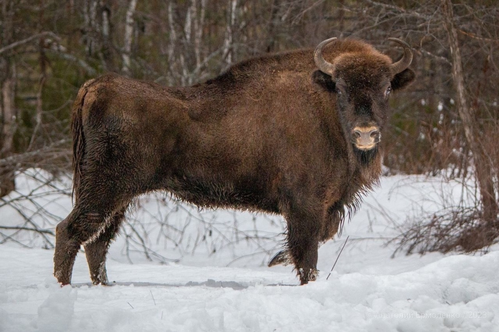 «Башинформ» мәғлүмәт агентлығы архивы
