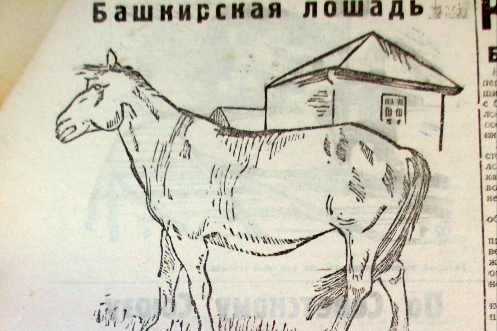 Книжная палата РБ
