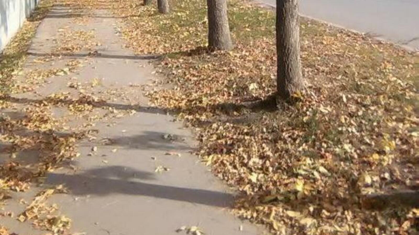 ИА «Башинформ»