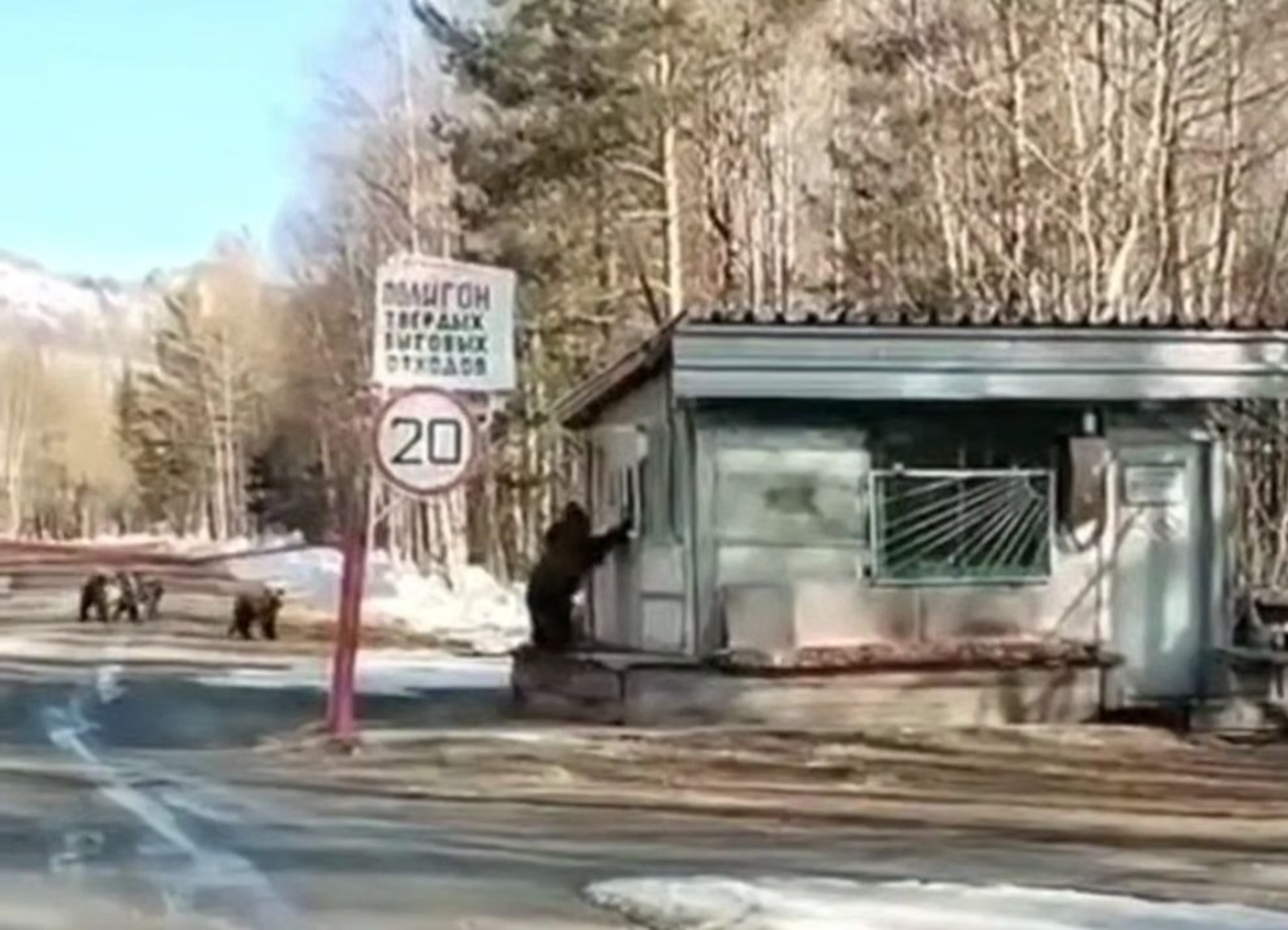Артур Идельбаев, Vk