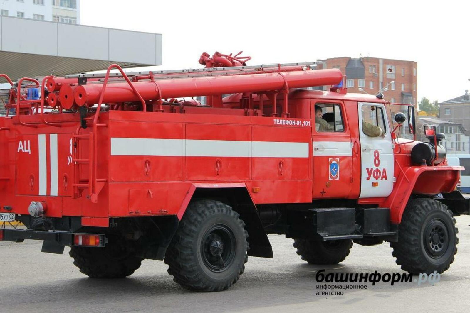 Ксения Калинина