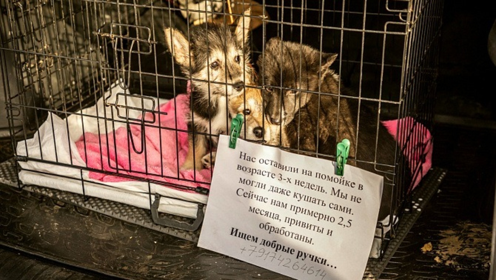 пресс-служба мэрии Уфы, архивное фото