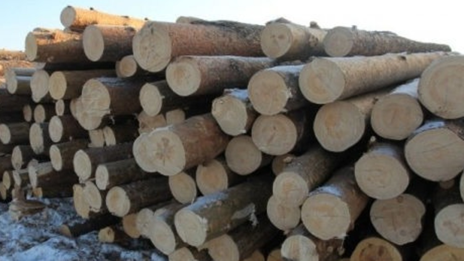 ИА «Башинформ» архив