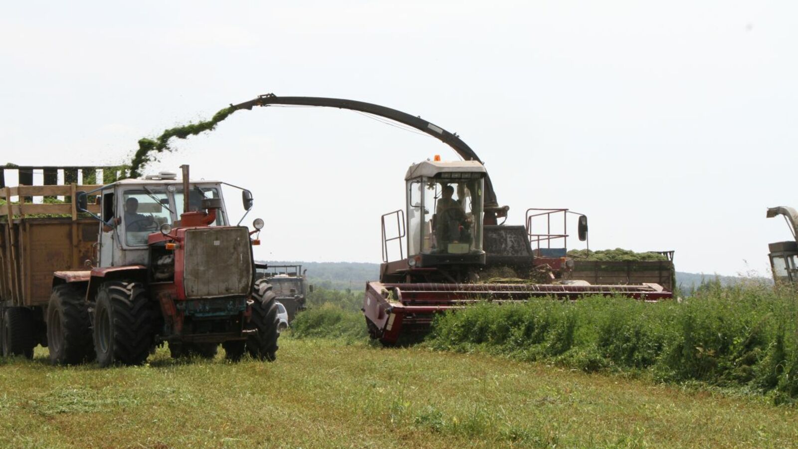 администрация Иглинского района
