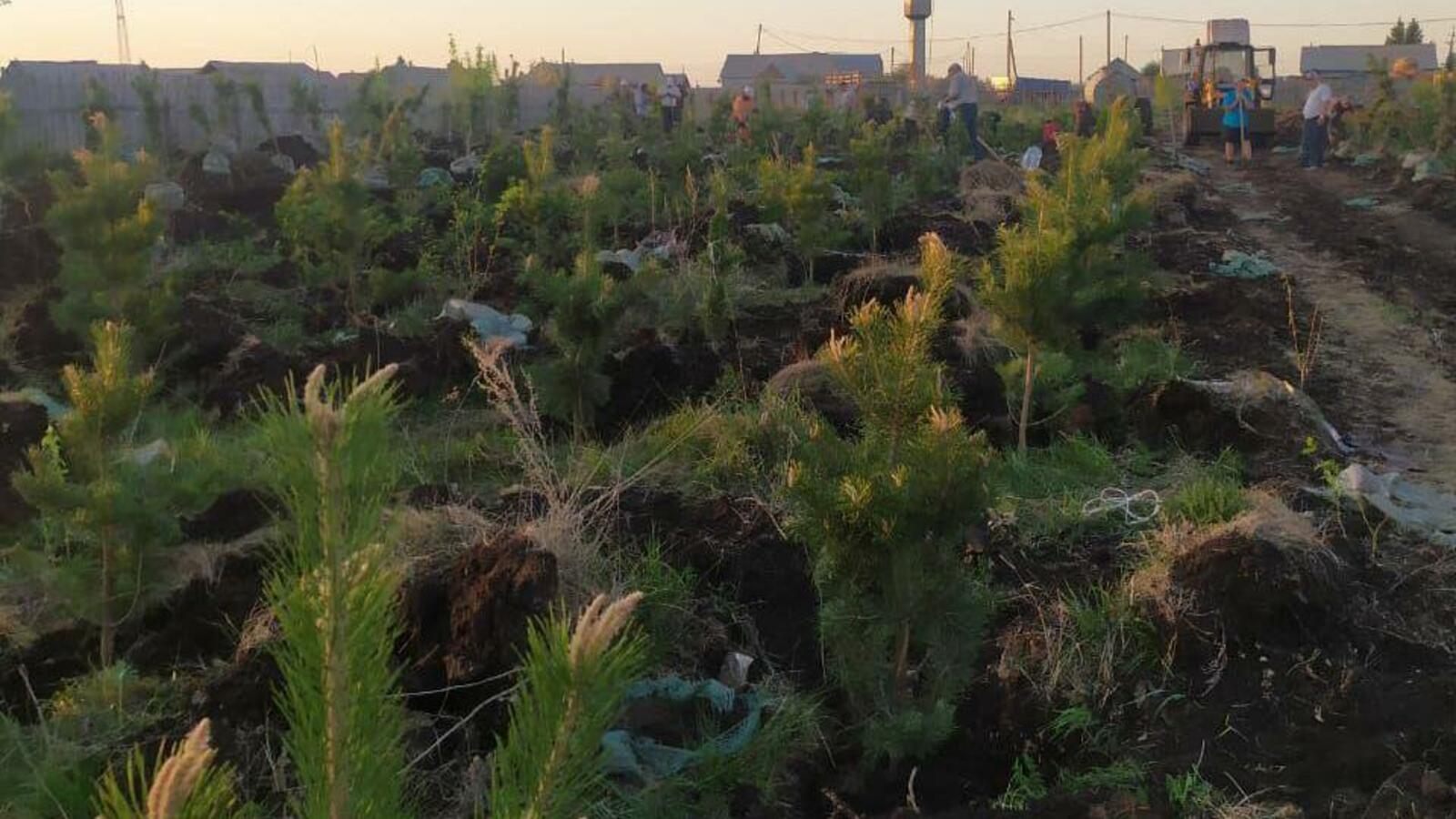 информотдел администрации Куюргазинского района