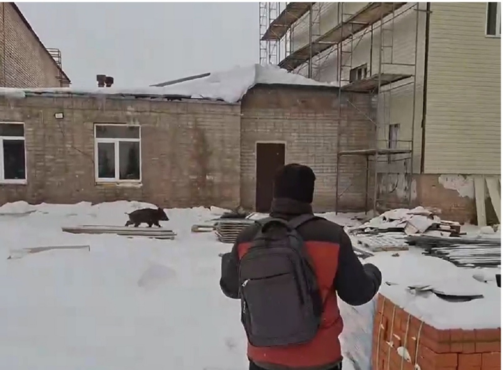 скриншот