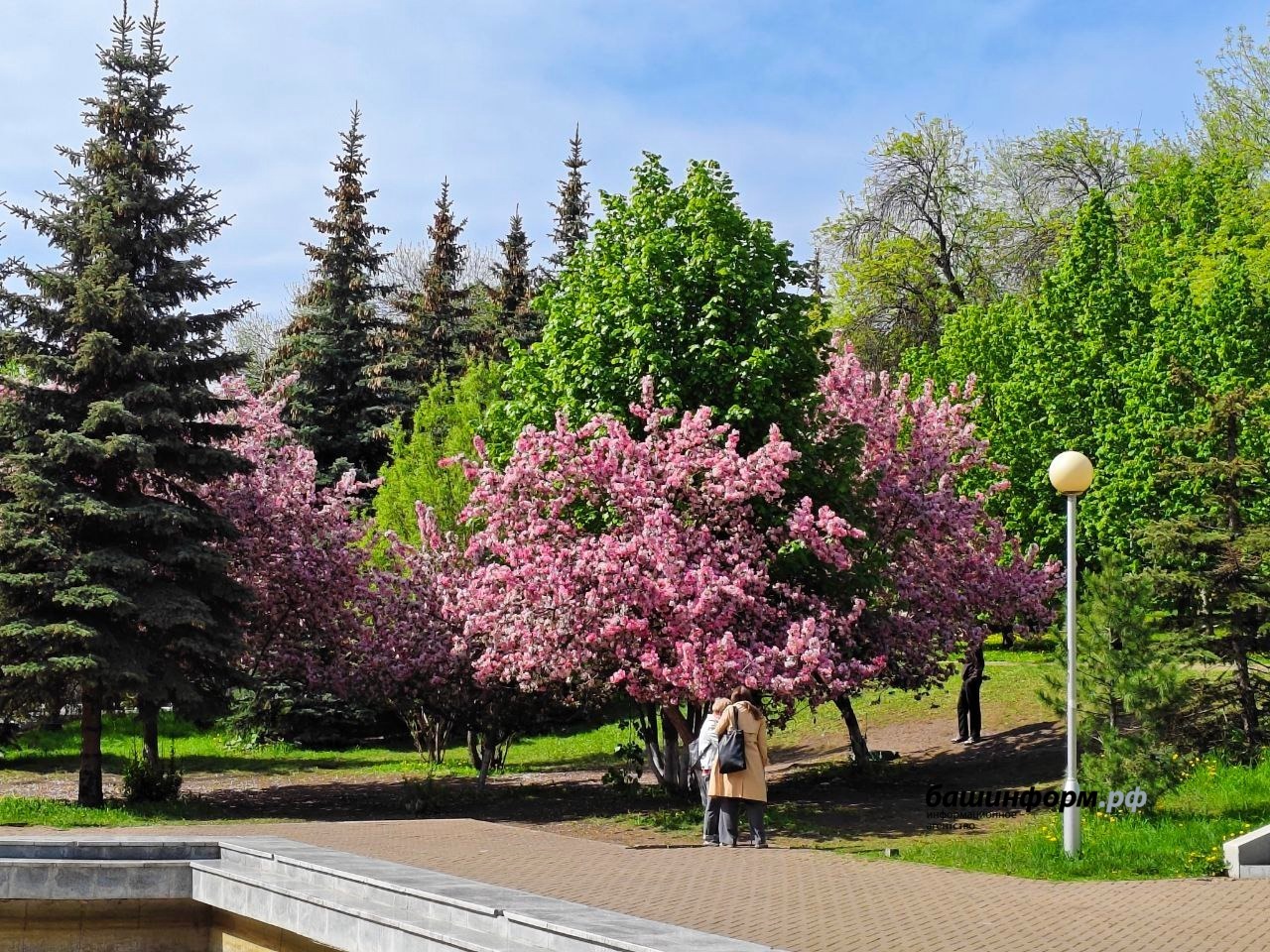 Роман Якимчук  Парк имени В.И. Ленина &ndash; островок тишины и покоя в центре города