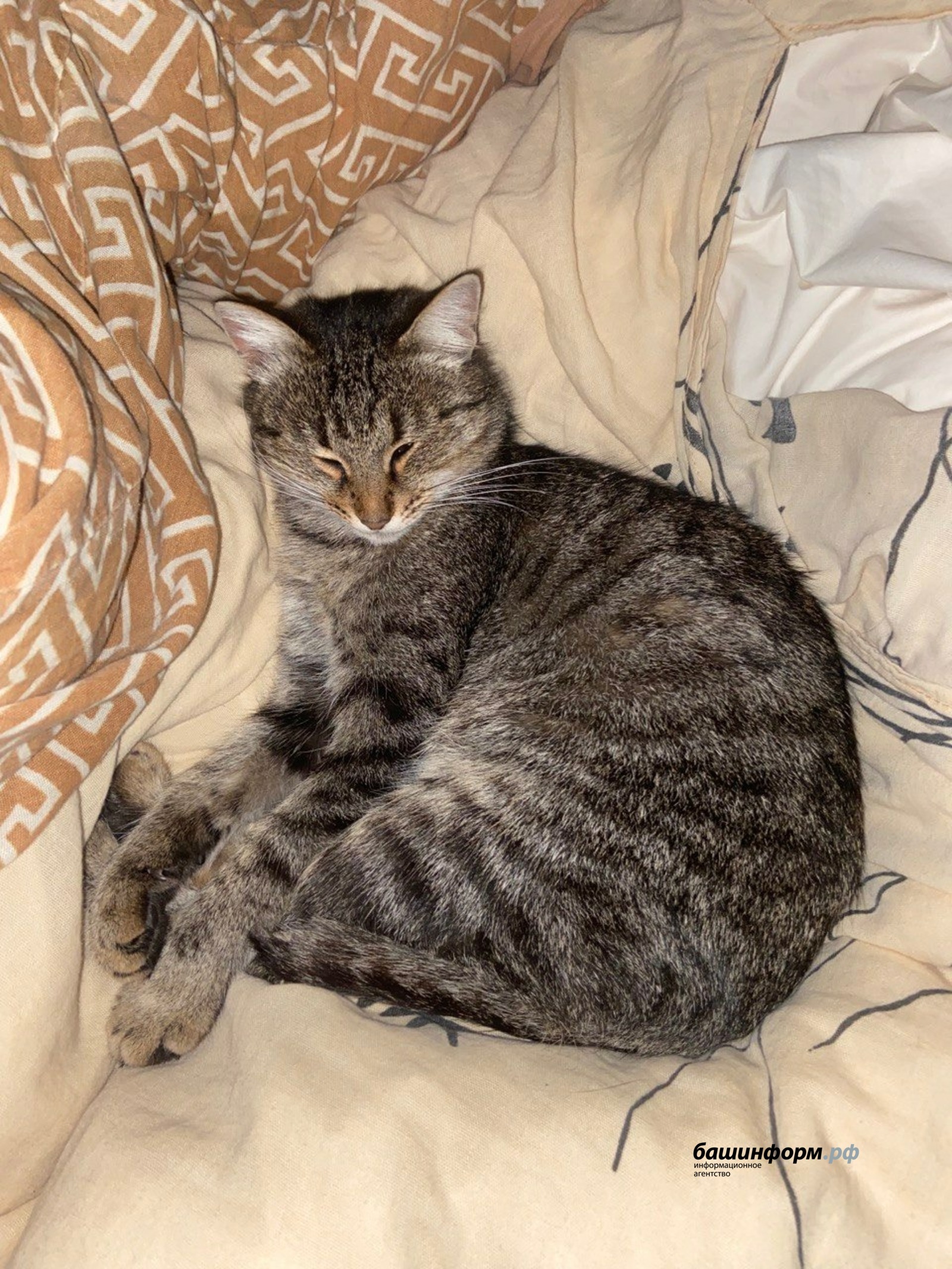 Галина Бахшиева ИА "Башинформ"