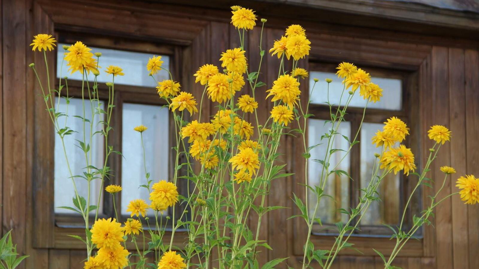 ИА «Башинформ»