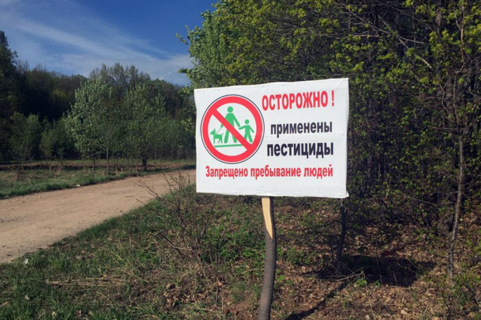 Минлесхоз РБ