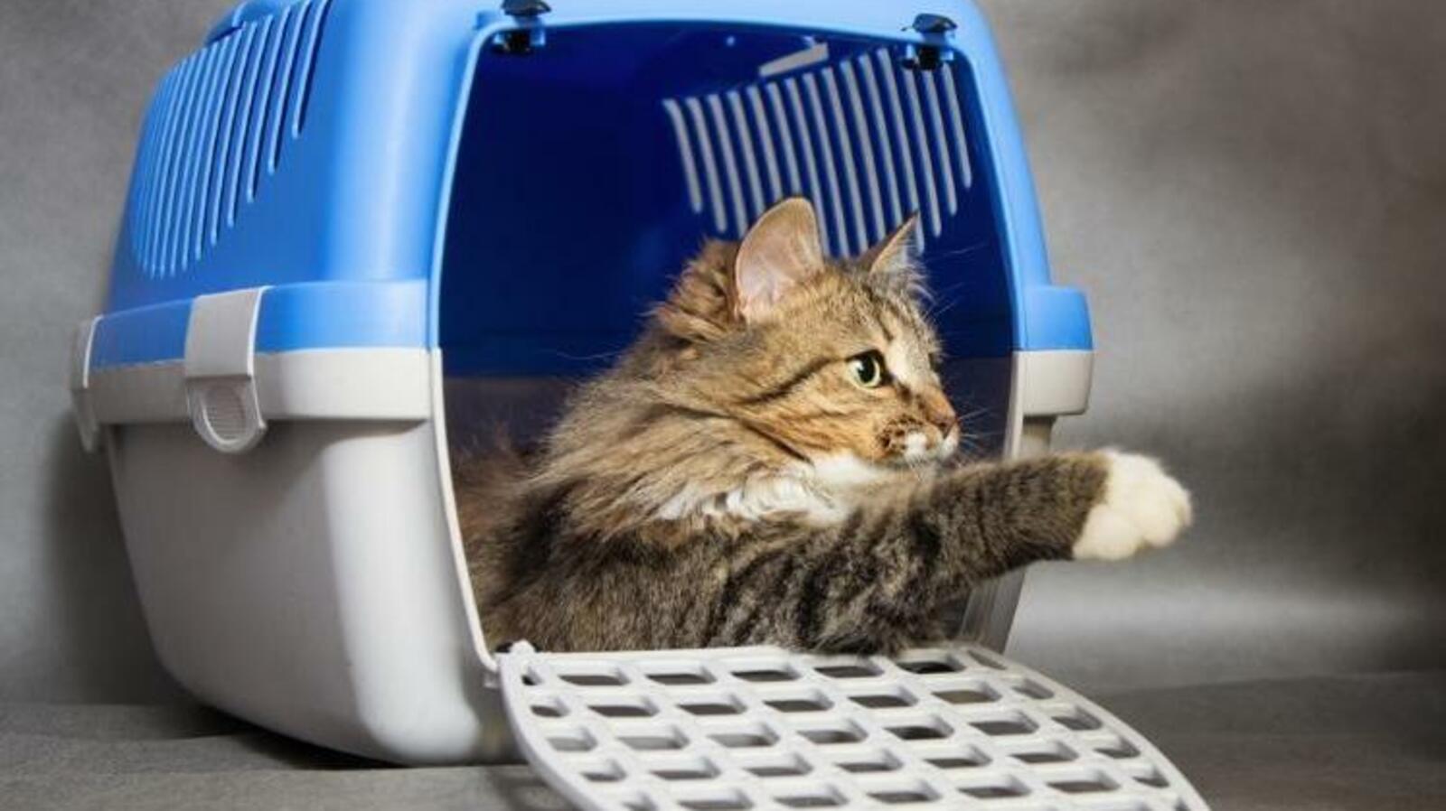 ИА «Башинформ»