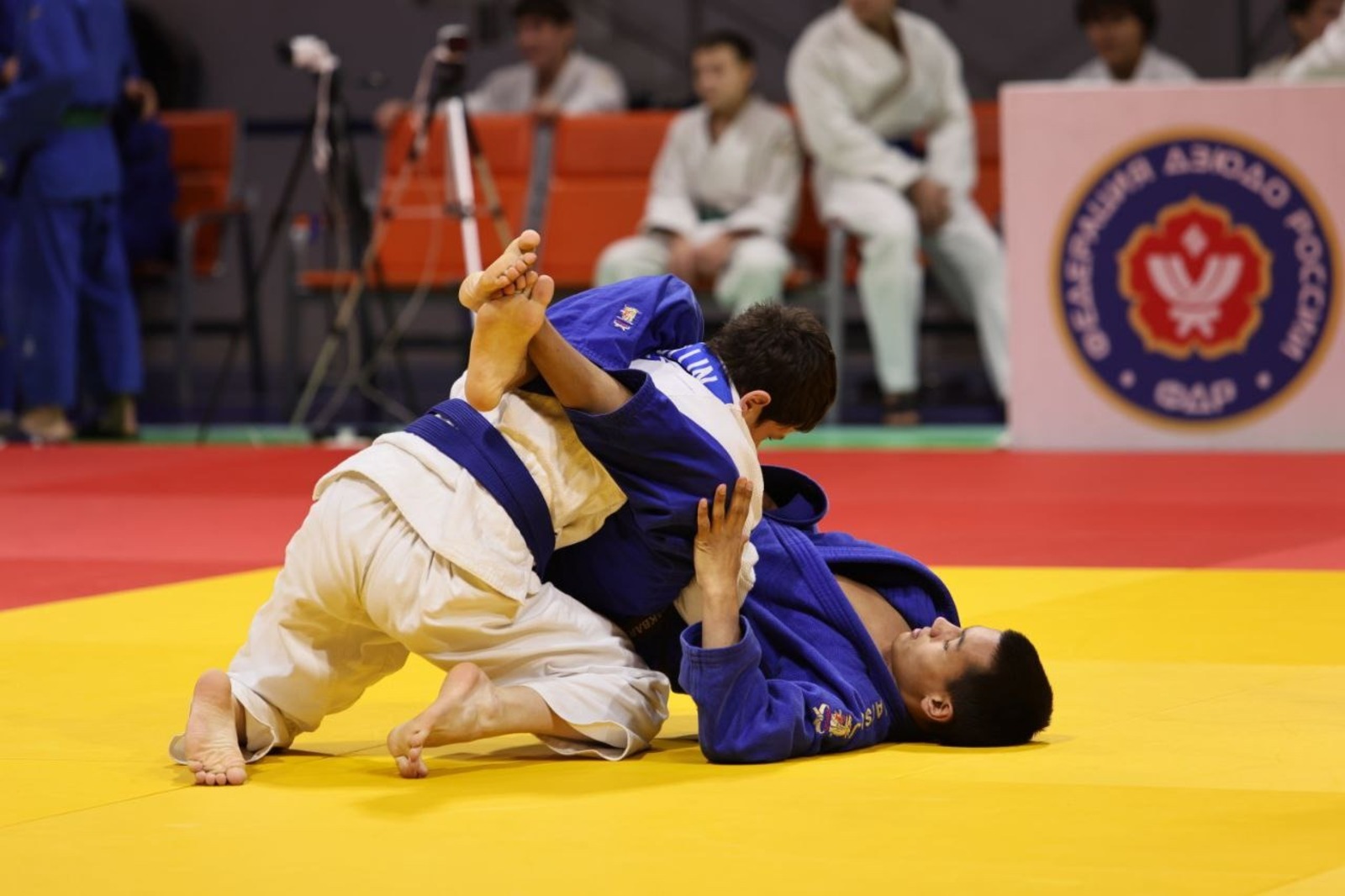 Телеграм-канал Ирека Сагитова соцсети