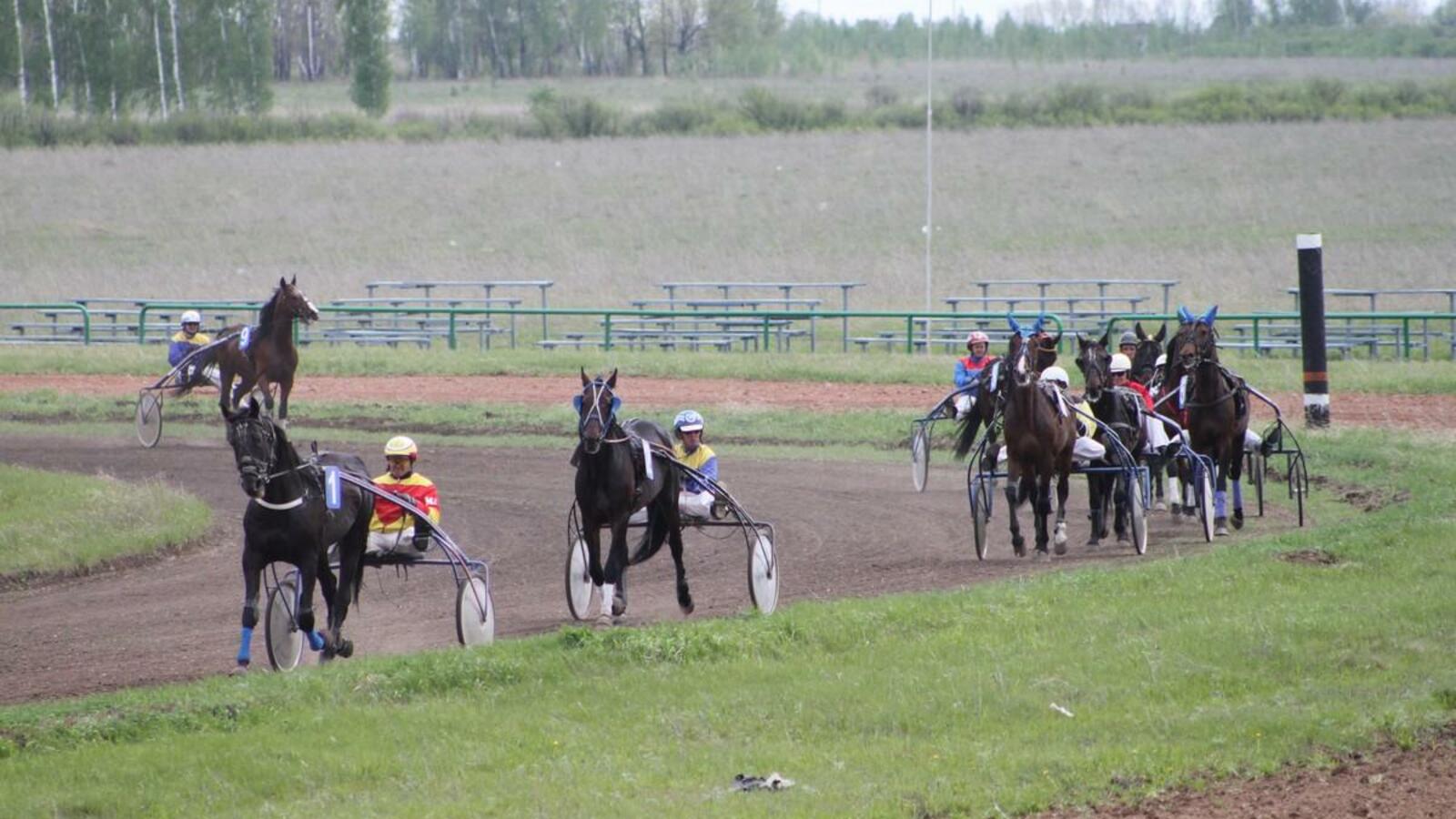 предоставлено ипподром «Акбузат»