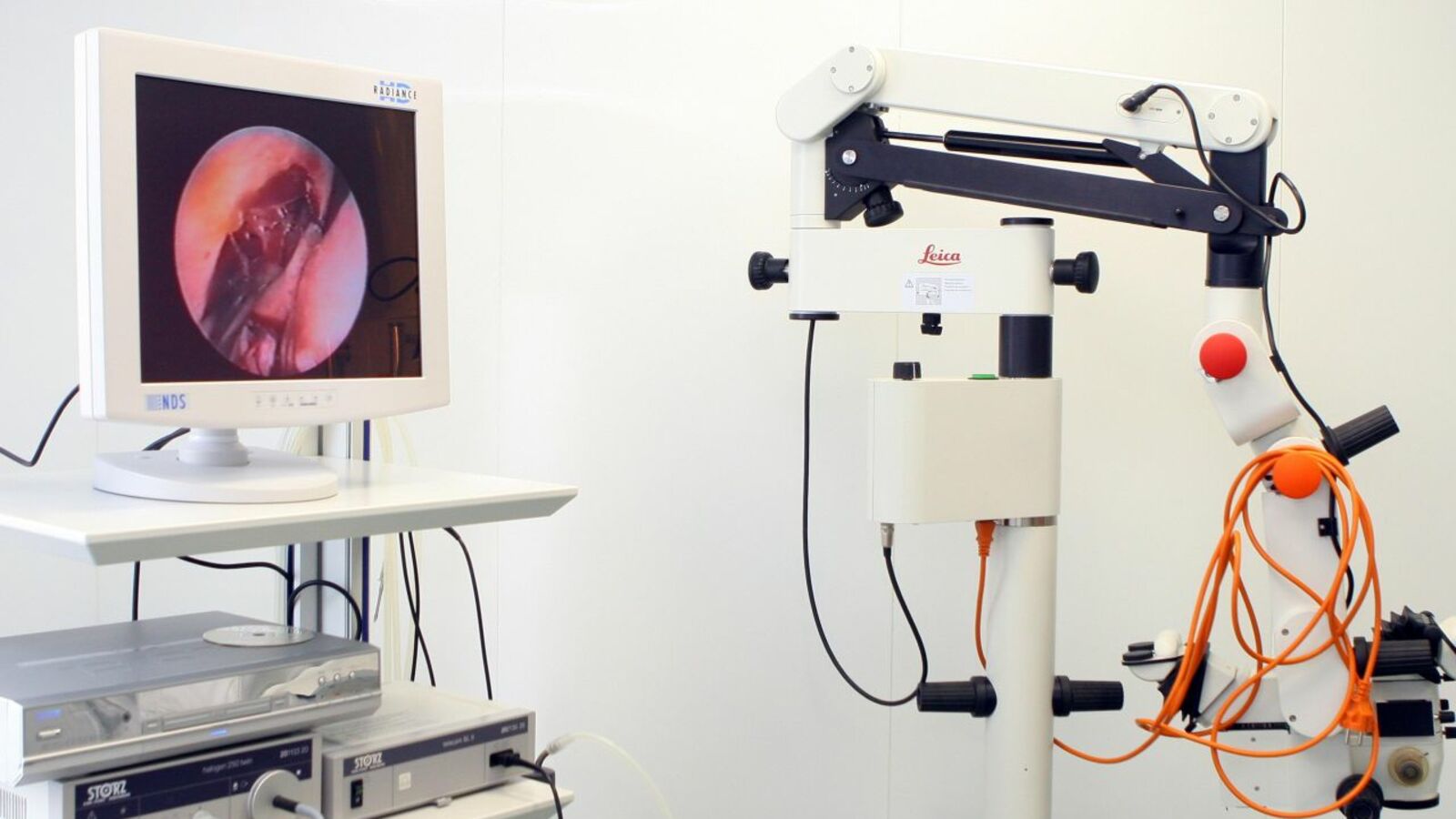 Андрей Старостин