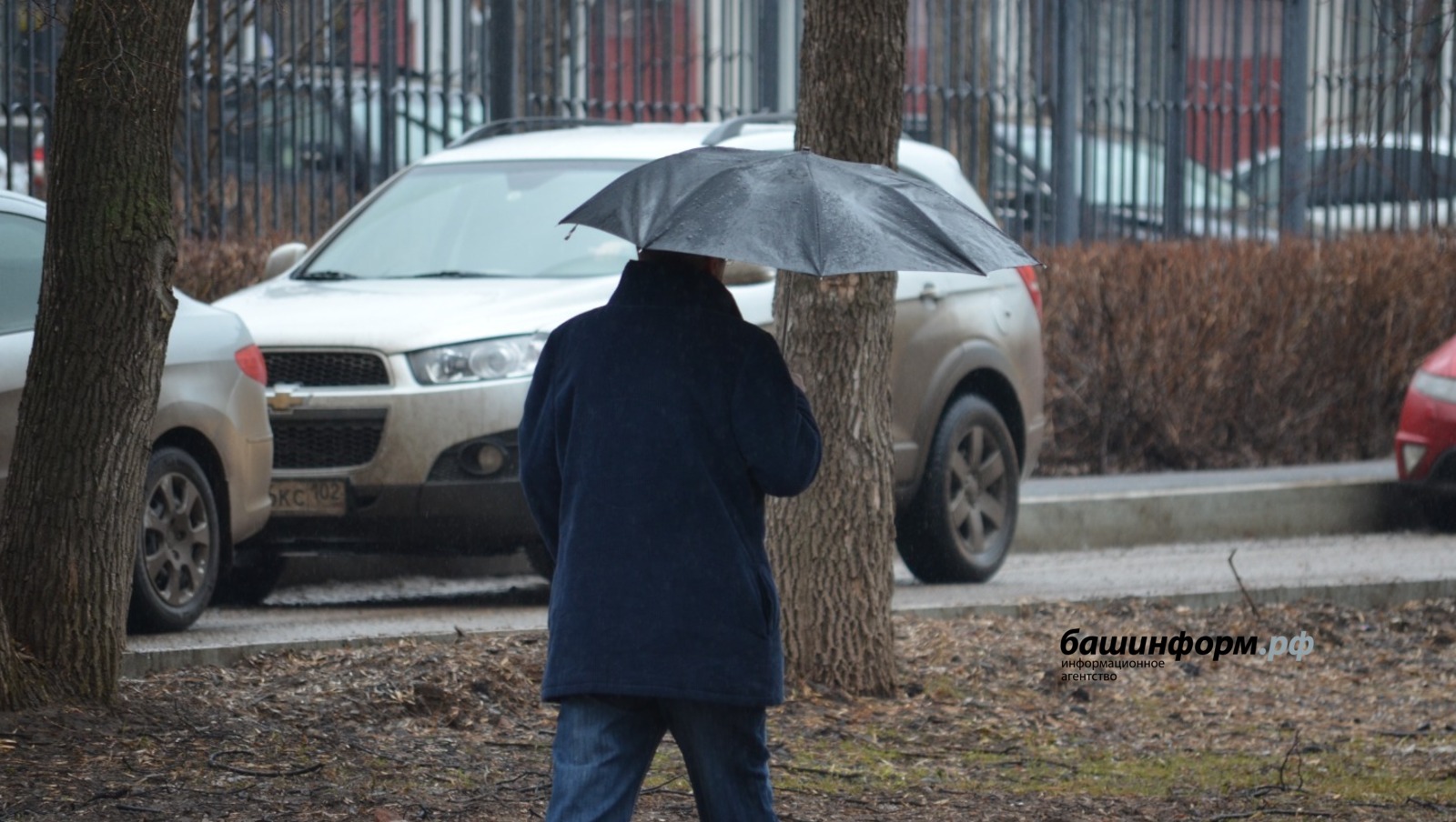 Ксения Калинина