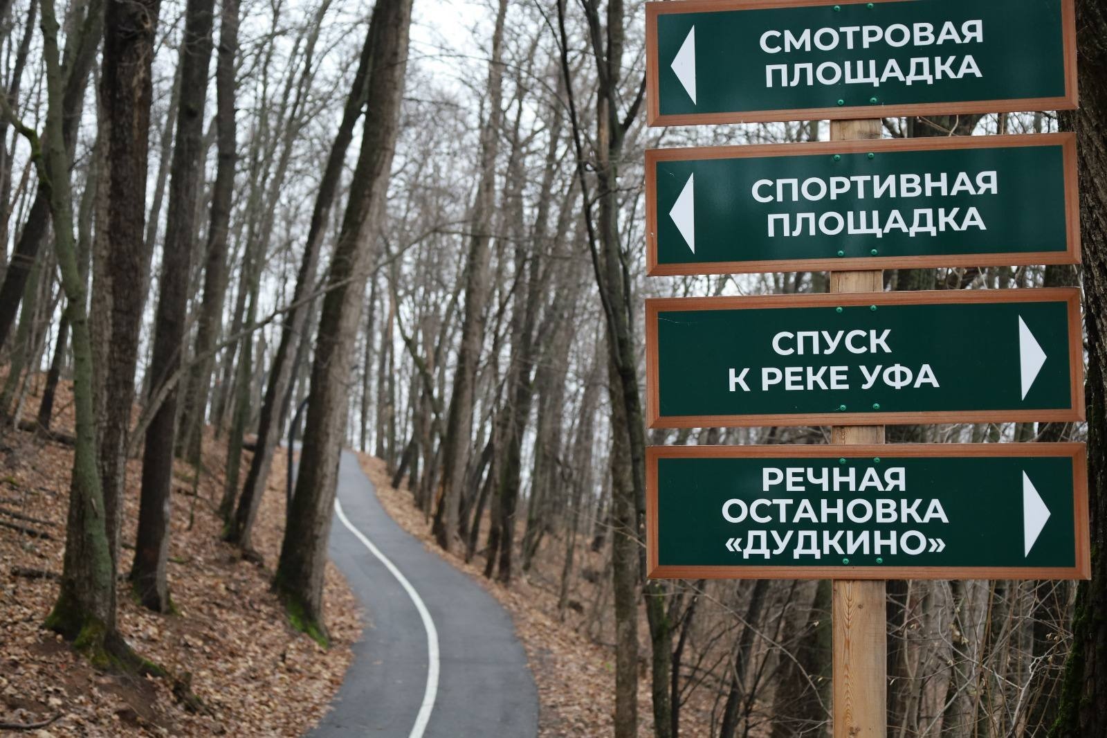 Ратмир Мавлиев telegram-канал