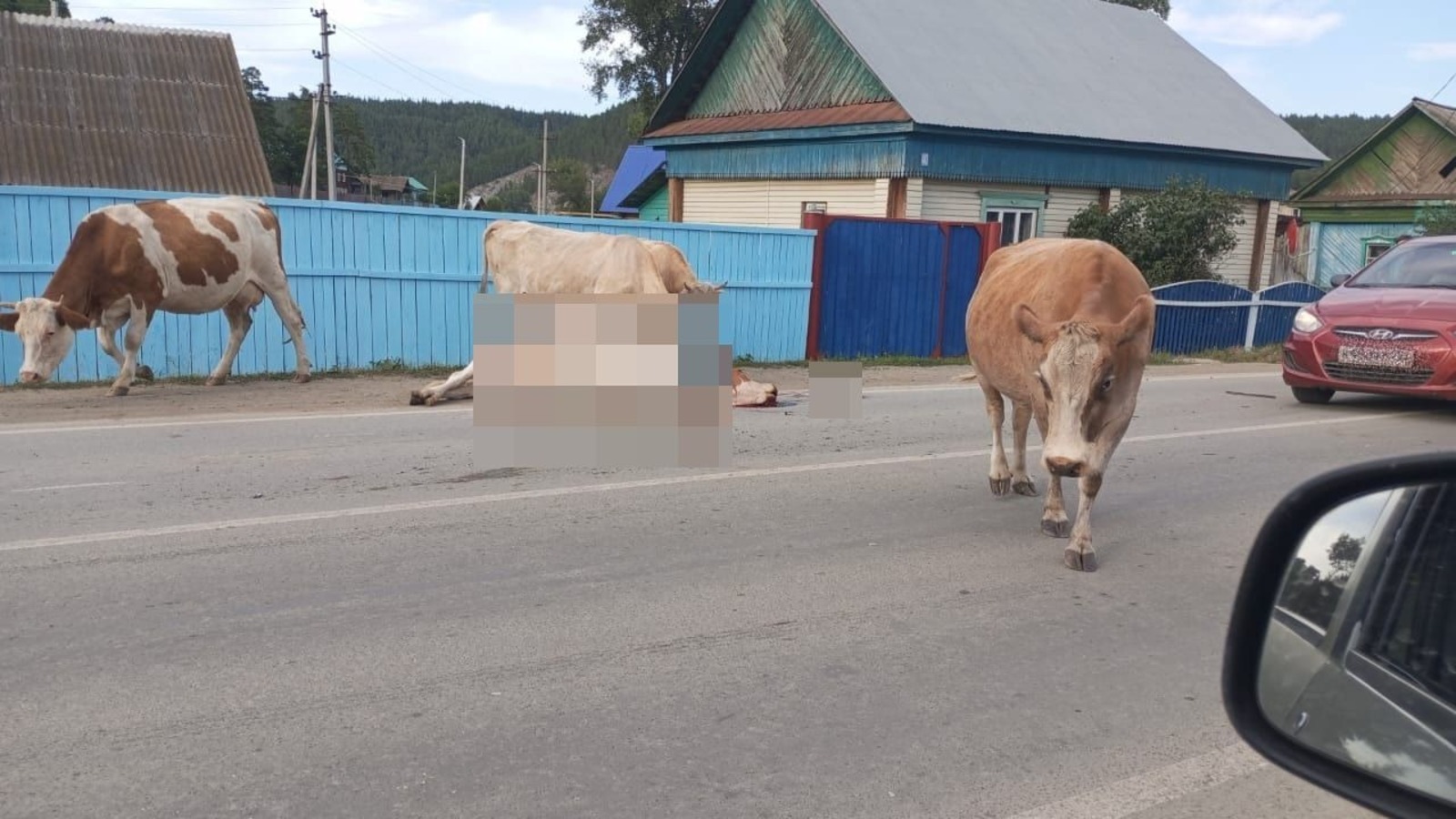 Рамиль Абдуллин, вк