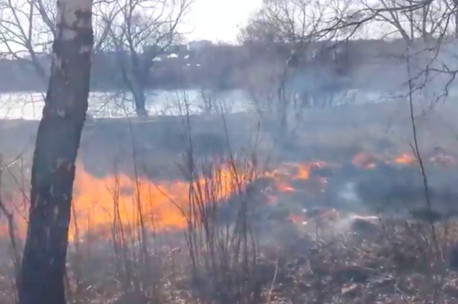 стоп-кадр видео МЧС РБ