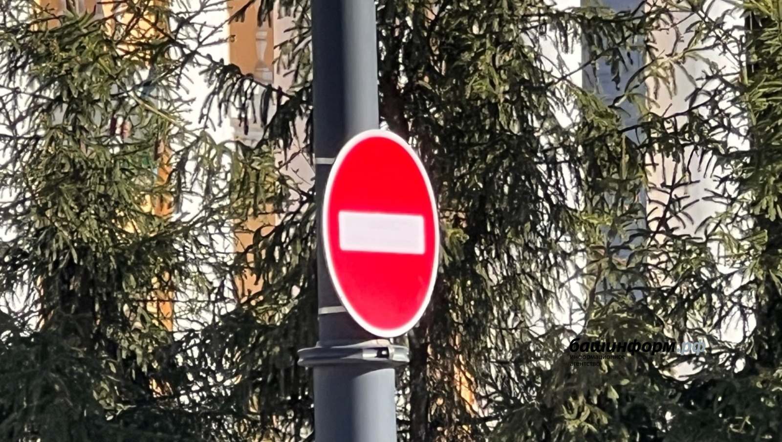 Ксения Калинина