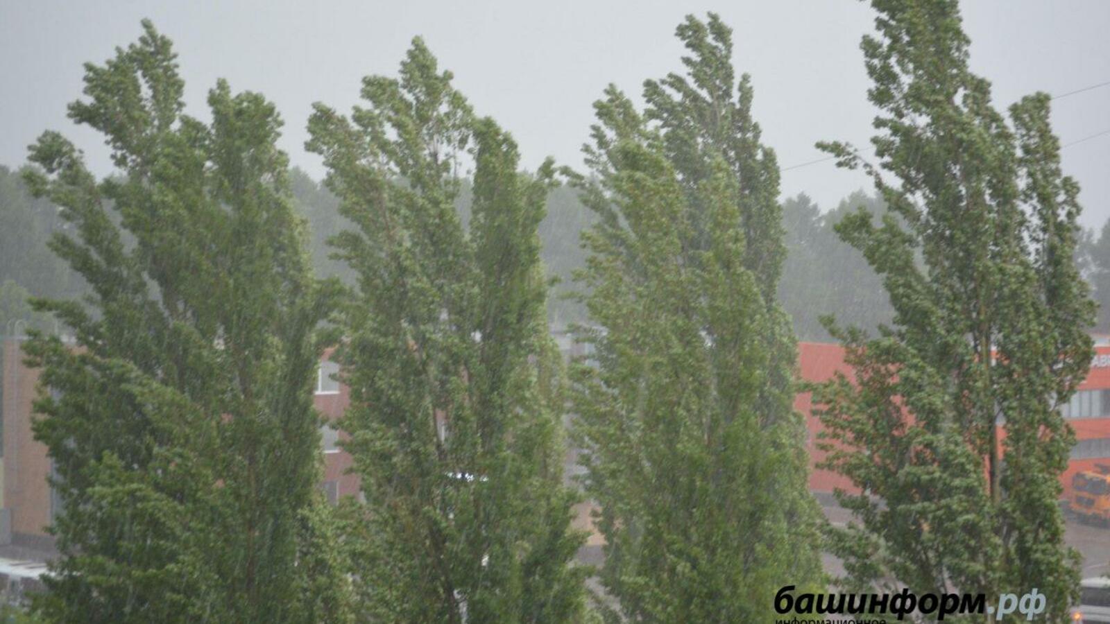 Ксения Калинина